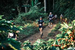 BIB: 
                            <button type="button" onclick="openModal(25812197)" class="btn btn-primary btn-sm float-right btn-popup" data-toggle="modal" data-target=".modal-high-quality">
                        <i class="fas fa-shopping-cart"></i> Add to Cart
                    </button>
                                            <button type="button" onclick="isThisMe(25812197, true)" class="btn btn-success btn-sm float-right btn-popup btn-isme hidden" data-toggle="tooltip" data-placement="bottom" title="นี่คือรูปของคุณใช่ไหม คลิกที่นี่เพื่อเอาเข้าอัลบั้ม">
                        <i class="fas fa-plus"></i> Add to album
                    </button>
                    <button type="button" onclick="isThisMe(25812197, false)" class="btn btn-warning btn-sm float-right btn-popup btn-isnotme hidden">
                        <i class="fas fa-ban"></i> Remove from album
                    </button>